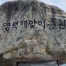 란이네 먹거리 이미지