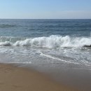세 개의 마이리얼트립 데이투어와 함께 한 리스본 여행