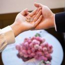 무궁화한정식 | 서울 상견례 한정식 추천, 롯데호텔서울 무궁화 다솜룸 스몰웨딩 촬영 후기｜노미래스냅