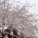 고차수차숨