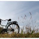 아버지와 자전거 이미지