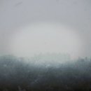 종일사슴 이미지