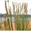 왕숙천 자전거도로16 이미지