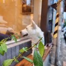 삼이일공커피공장