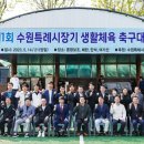 수원종합운동장 인조잔디구장 이미지