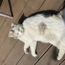 바람의언덕동해타파스와인&비어 네이버블로그