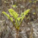 [겨울]생각톡과학실험B 이미지