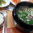 박존옥 천마설렁탕 & 갈비탕 이미지