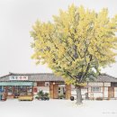 시간의 온기 이미지