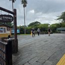 제주 천제연 난대림 | 제주 천제연폭포 코스 추천ㅣ도보 40분 완주 동선