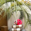 가시버시펜션 이미지