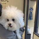 메종VIP203 이미지