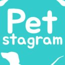 덴탈랜드 이미지