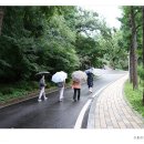 방아교 이미지