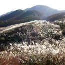 방화동가족휴가촌 자동차야영장 이미지