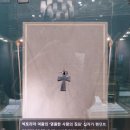 더그레이스(THE GRACE) 이미지