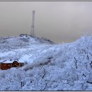 삼성디지털 프라자 앞2 이미지