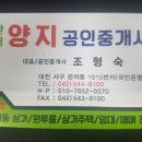 양지부동산중개 이미지