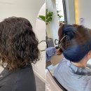 동행펫살롱 이미지