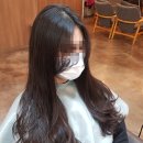 바드래헤어