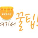 민백초등학교1 이미지