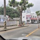 주성메디칼 이미지