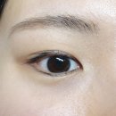 온니뷰티 - 순천시 | 신중동역 속눈썹 맛집 온니뷰티 방문 후기