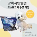 푸코펫 | 치석제거는 강아지덴탈껌 슈퍼포우베리츄 코스트코개껌