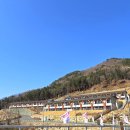 백운면 2535[15-10] | 진안 여행 | 신상 자연휴양림 숙소 국립진안고원산림치유원 추천 숙박 예약 후기