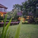 치유요가반 이미지