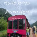 동태백로 | 백두대간 협곡열차 V-TRAIN 산타마을분천에서 철암까지 기차예매와 좌석예약팁