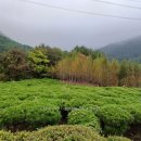 반송 이미지