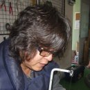 제7회 독도(울릉도)기념품 디자인 공모전 이미지