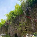 대구죽전초등학교 이미지