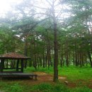 도전 역사탐험 이미지