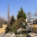 명가네힐링농장 네이버블로그