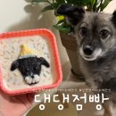 댕댕점빵 | [김천/애견] 김천구미강아지케이크 댕댕점빵 수제간식 구매한 후기