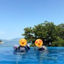 르 파라디 펜션 | 여수 르파라디 스파&amp;리조트 숙소 및 수영장 후기