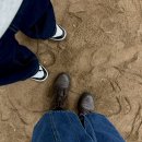 녹색대학문고 | 서울 현대미술관 나들이, 데이미언 허스트, 삭는 미술 관람 후기