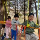 아이큰숲어린이집 이미지