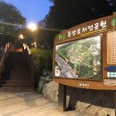 구립동작실버센터 티스토리