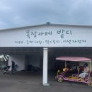 돌담목장 티스토리