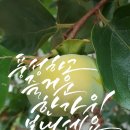 앤드리공방 이미지