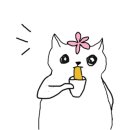 포토샵과 홈페이지형 블로그 만들기 이미지