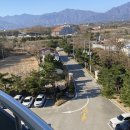 청간정 민박 이미지