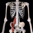 토마스정형외과의원 | 광주광역시 정형외과, 운동후 고관절 통증 CASE