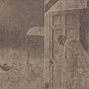 플레시피 이미지