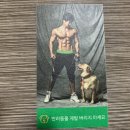 발리휘트니스 이미지