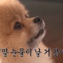 후기두기 이미지