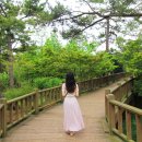 문동일셰프녹차고을 이미지